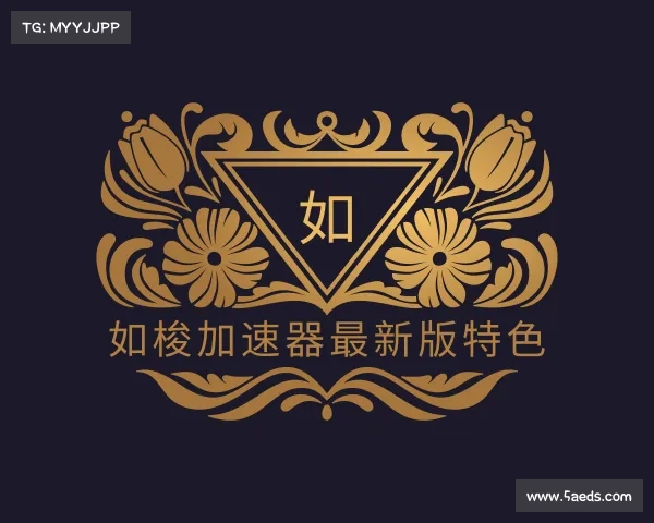 认识如梭加速器最新版特色